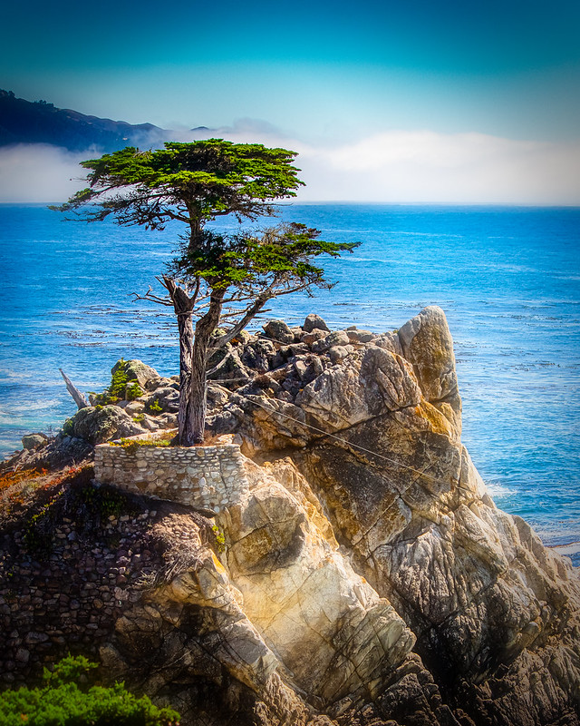 Favorite Hotspots in Pacific Grove California Favorite Hotspots in Pacific Grove California
