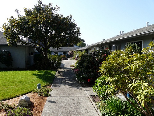 Alhambra Avenue Condos, Townhomes in Seabright, East Santa Cruz