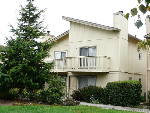 house for sale in andrew lane