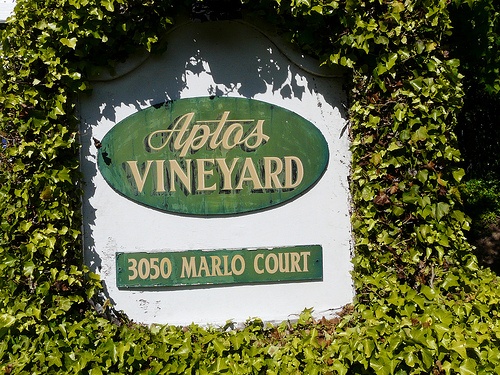 Aptos Vineyard's Condominiums