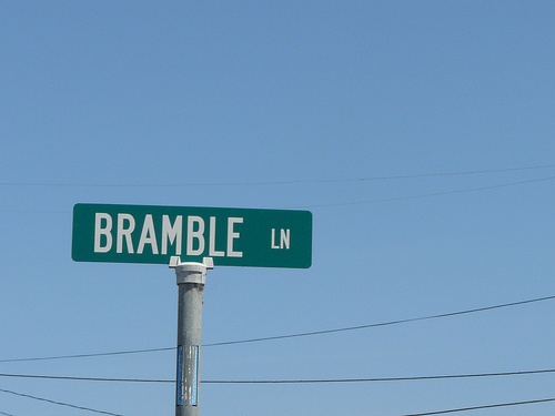 bramble lane condos street sign