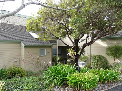 cabrillo_meadows_condos-yard