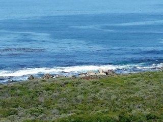 Carmel_Meadows_Oceanview_Homes