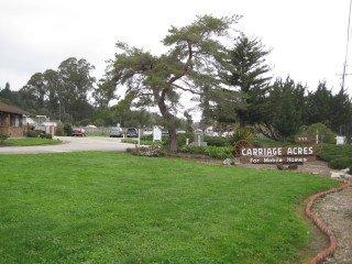carriage acres mobile homes park