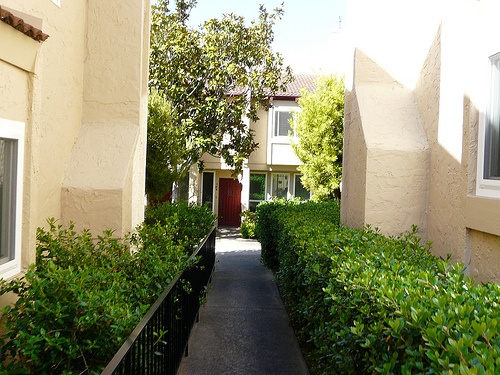 Courtyard_Townhomes_Santa_Cruz alley