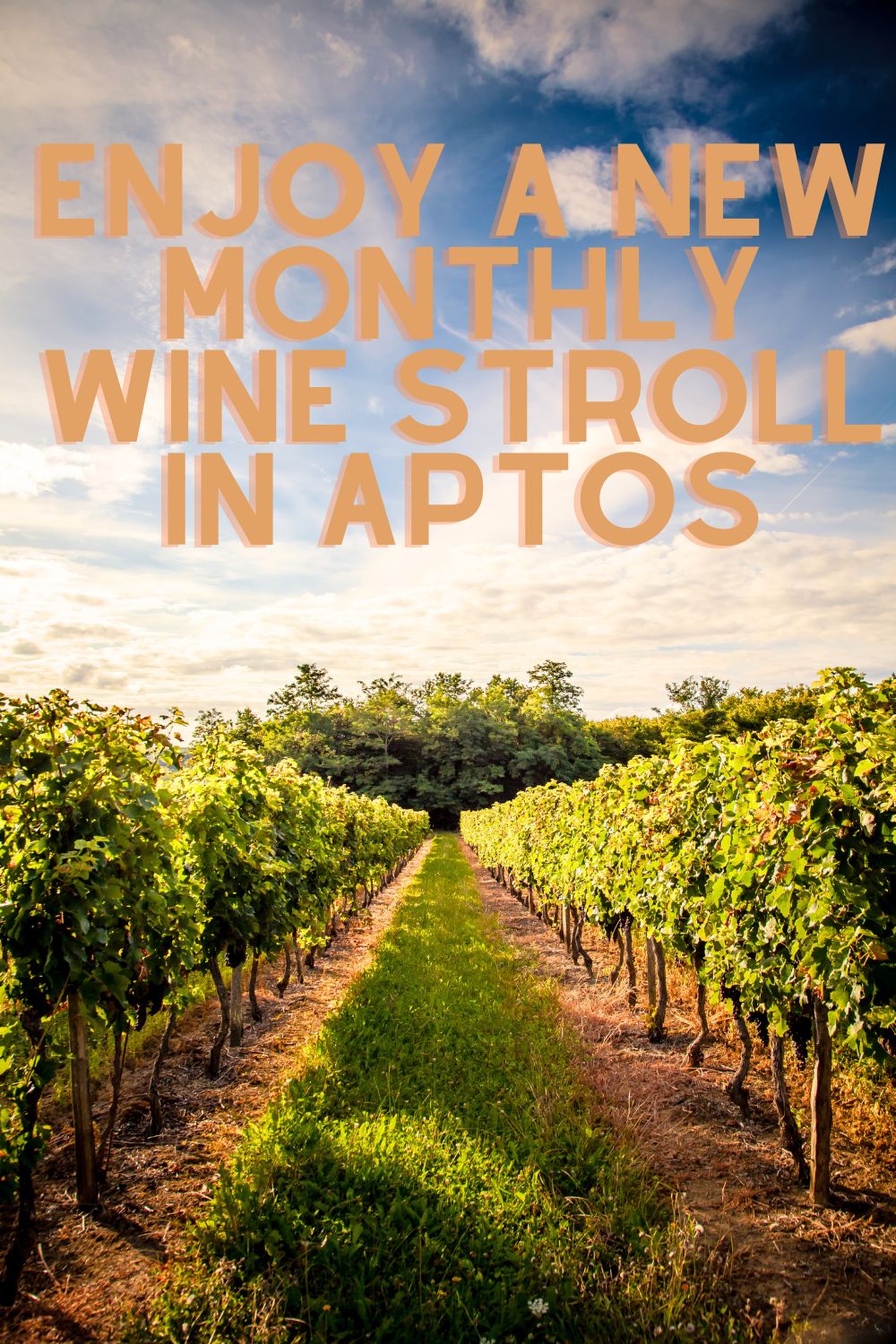 Enjoy a New Monthly Wine Stroll in Aptos