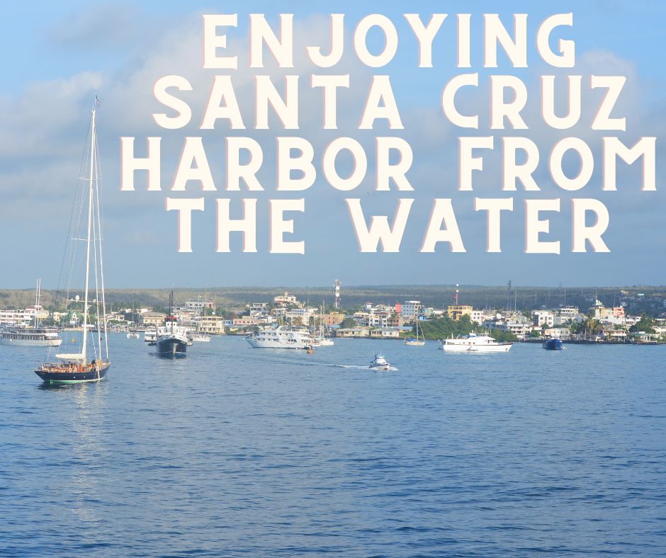 Enjoying Santa Cruz Harbor from the Water