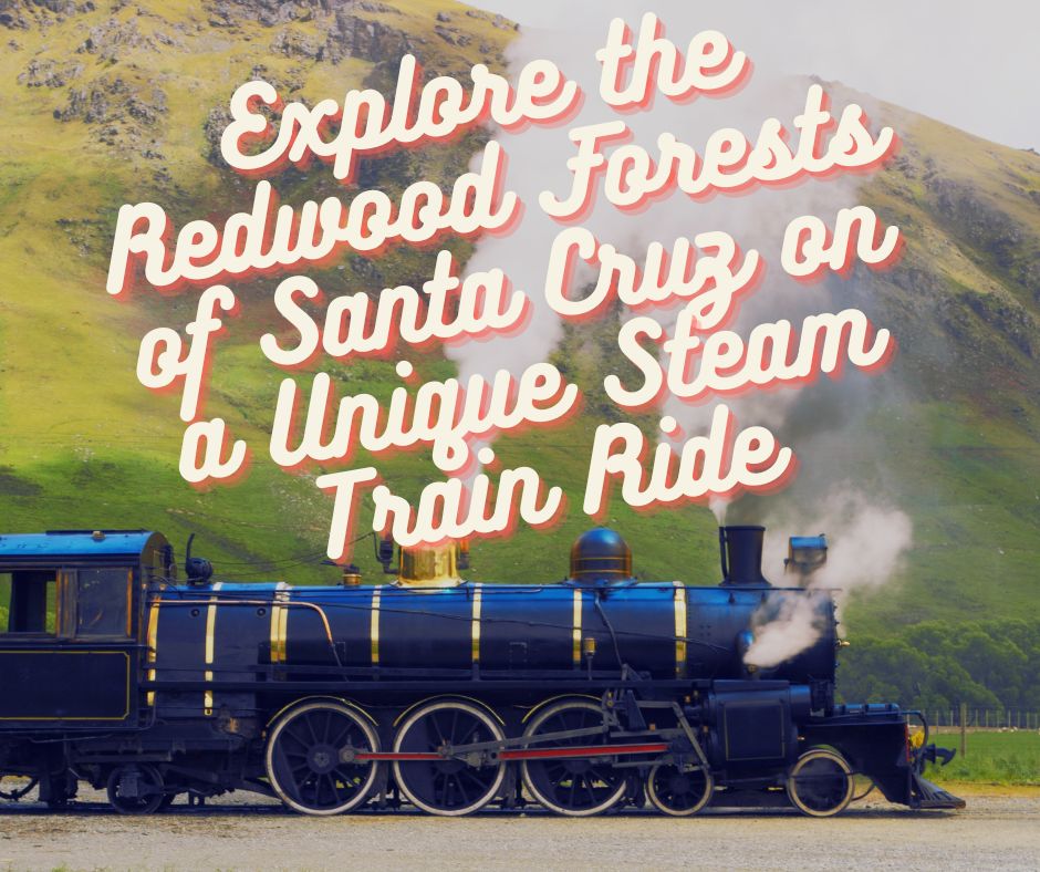 Explore the Redwood Forests of Santa Cruz on a Unique Steam Train Ride