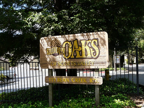 hidden oaks real estate