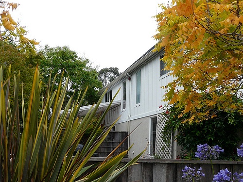 Marina Greens|Annie Lane - Property In Santa Cruz CA