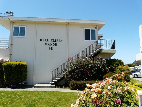 opal_cliffs_manor_condos-911