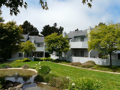 racquet landing homes frontyard