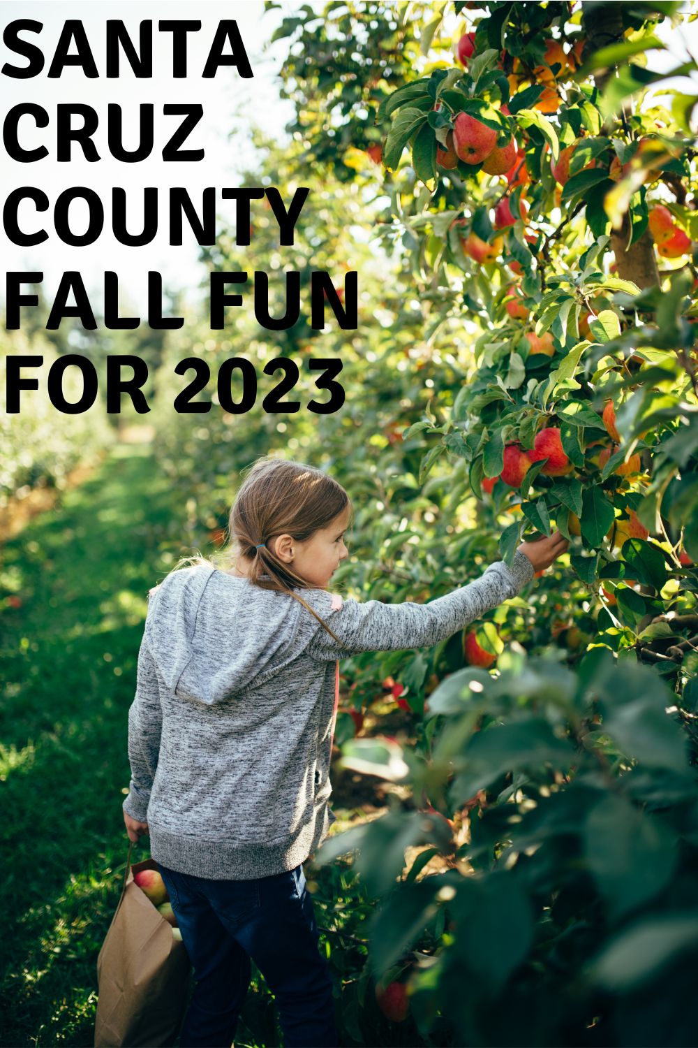 Santa Cruz County Fall Fun for 2023