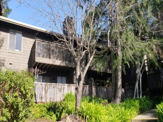 311_Scotts_Valley_CA_Village_Green_homes_for_sale