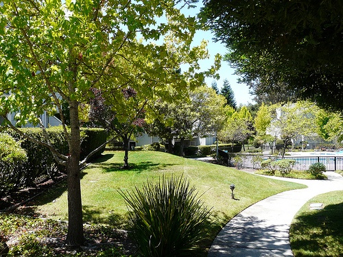 woodside terrace condos