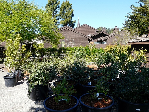 Adobe Villa Santa Cruz Townhomes