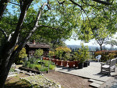 Adobe Villa Santa Cruz Townhomes