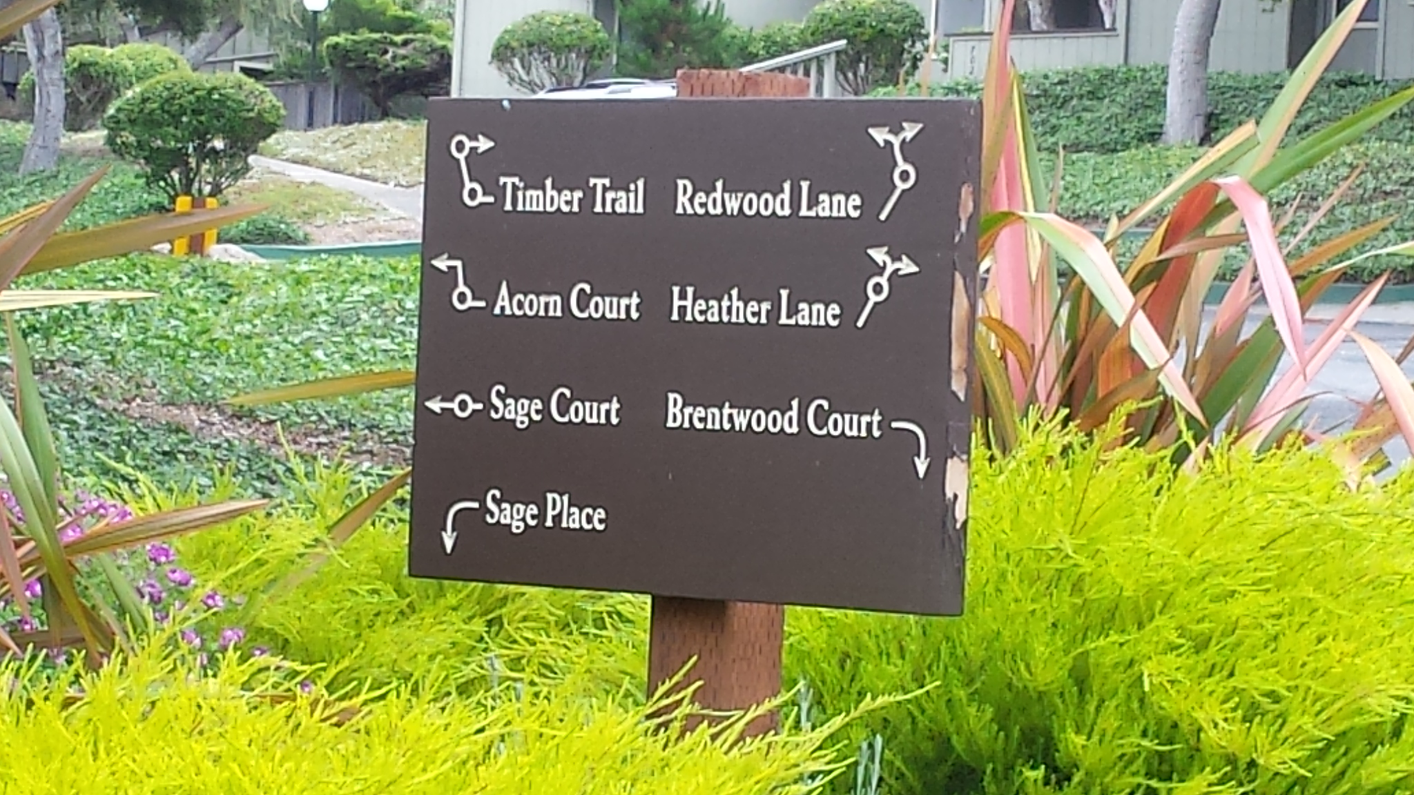 forest grove condo for sale