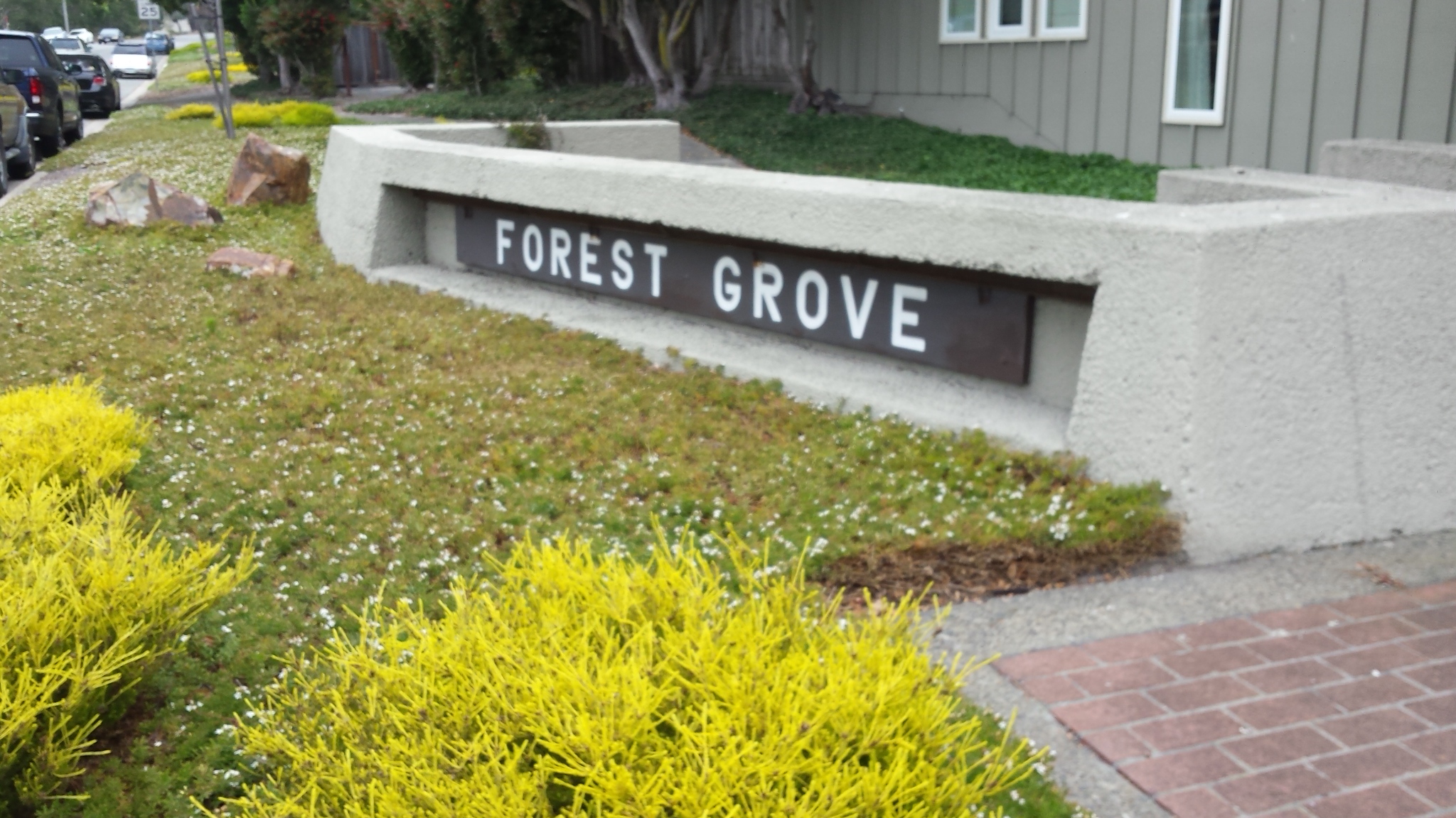 forest grove condos