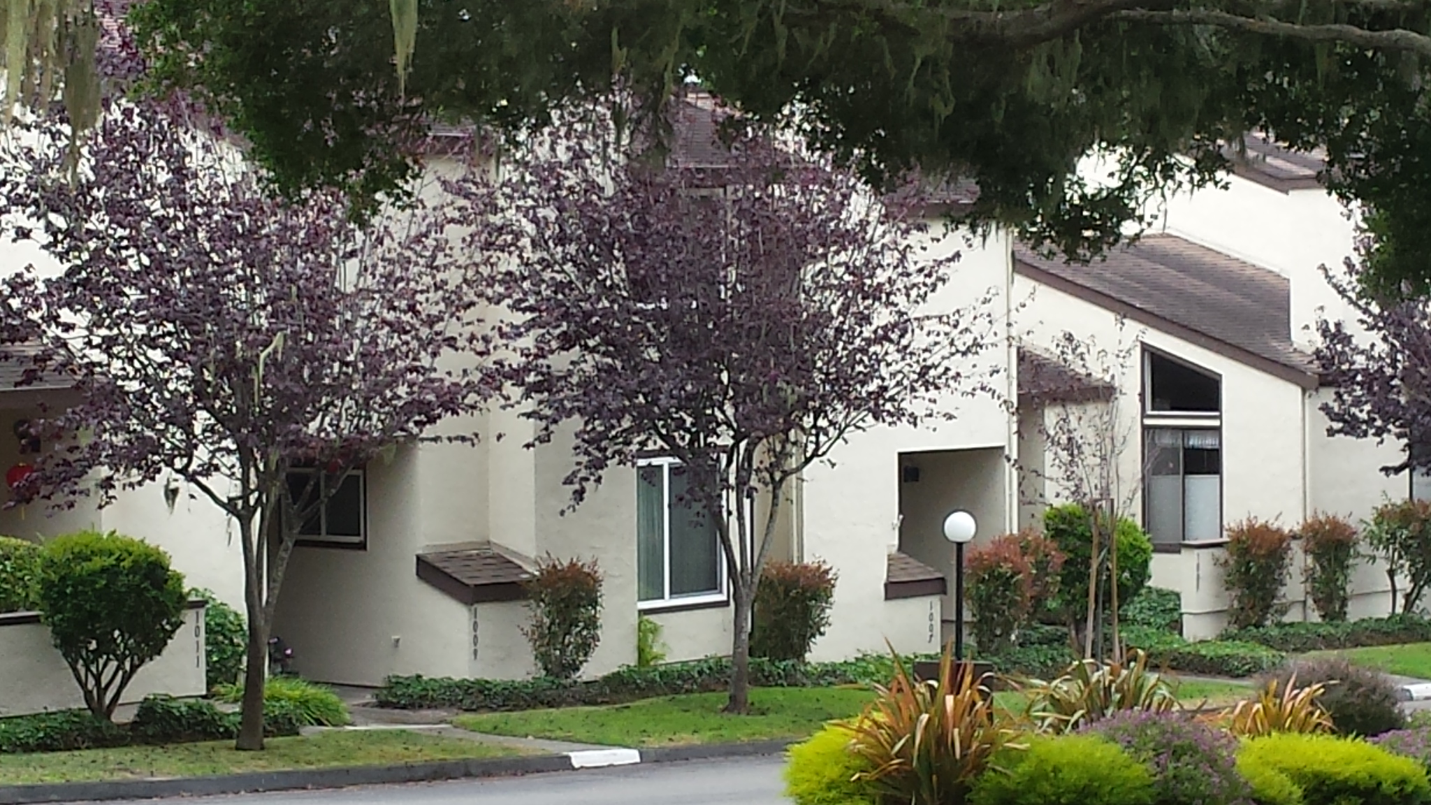 forest grove condo for sale in pacific grove