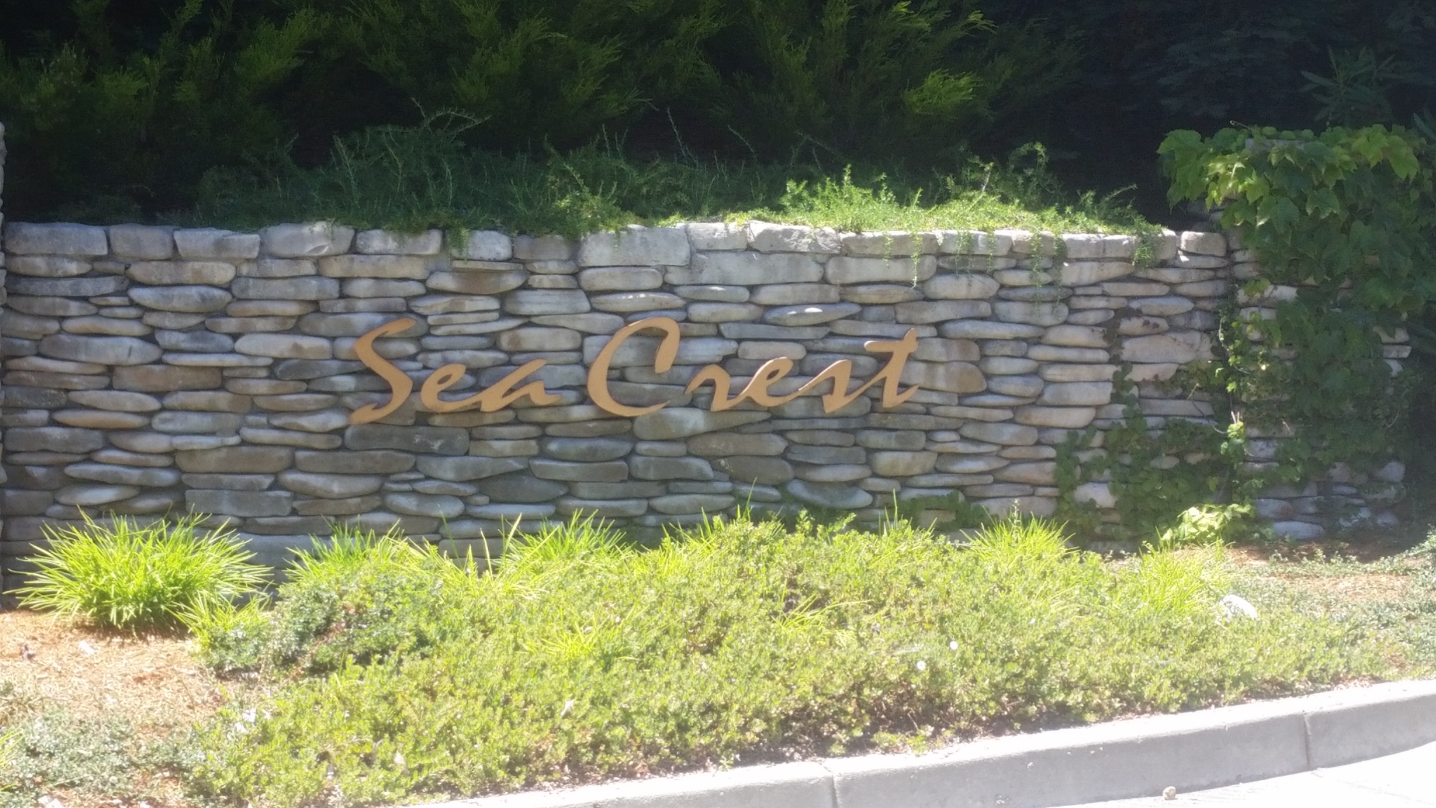 seacrest_luxury_homes