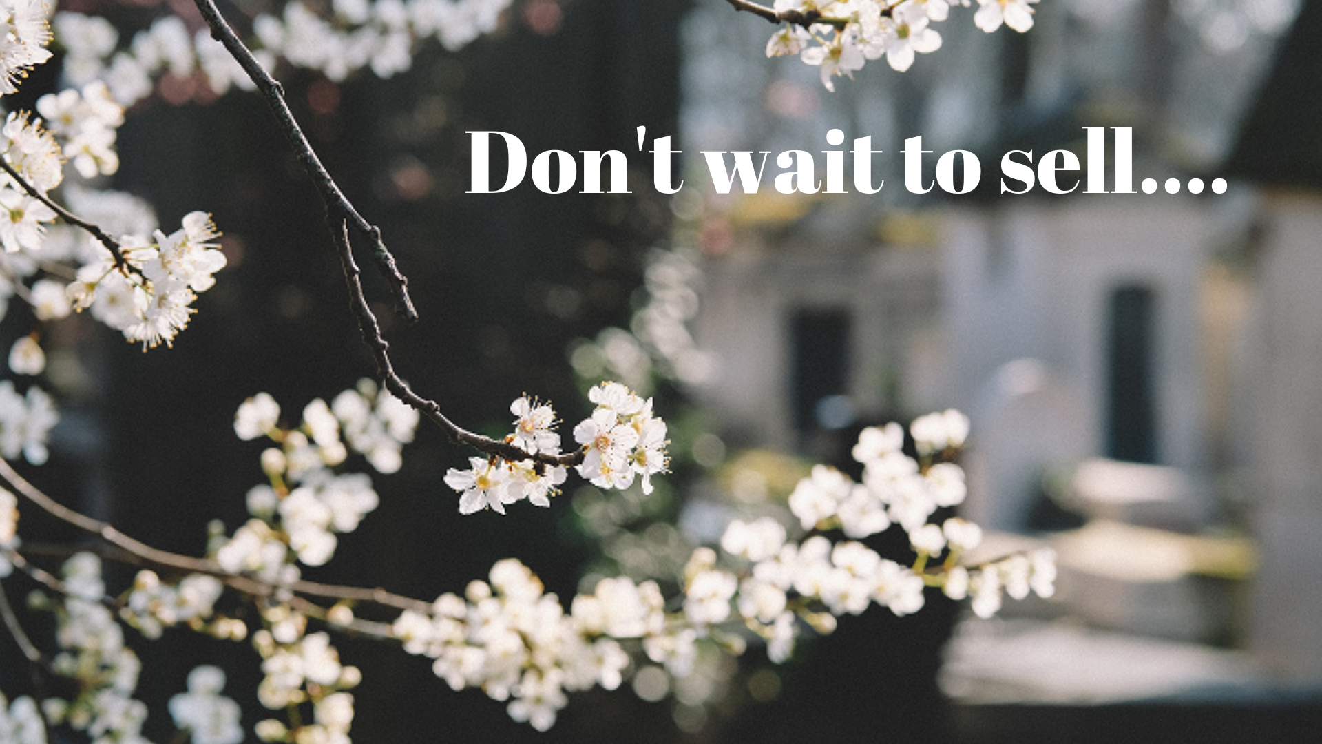 don't wait