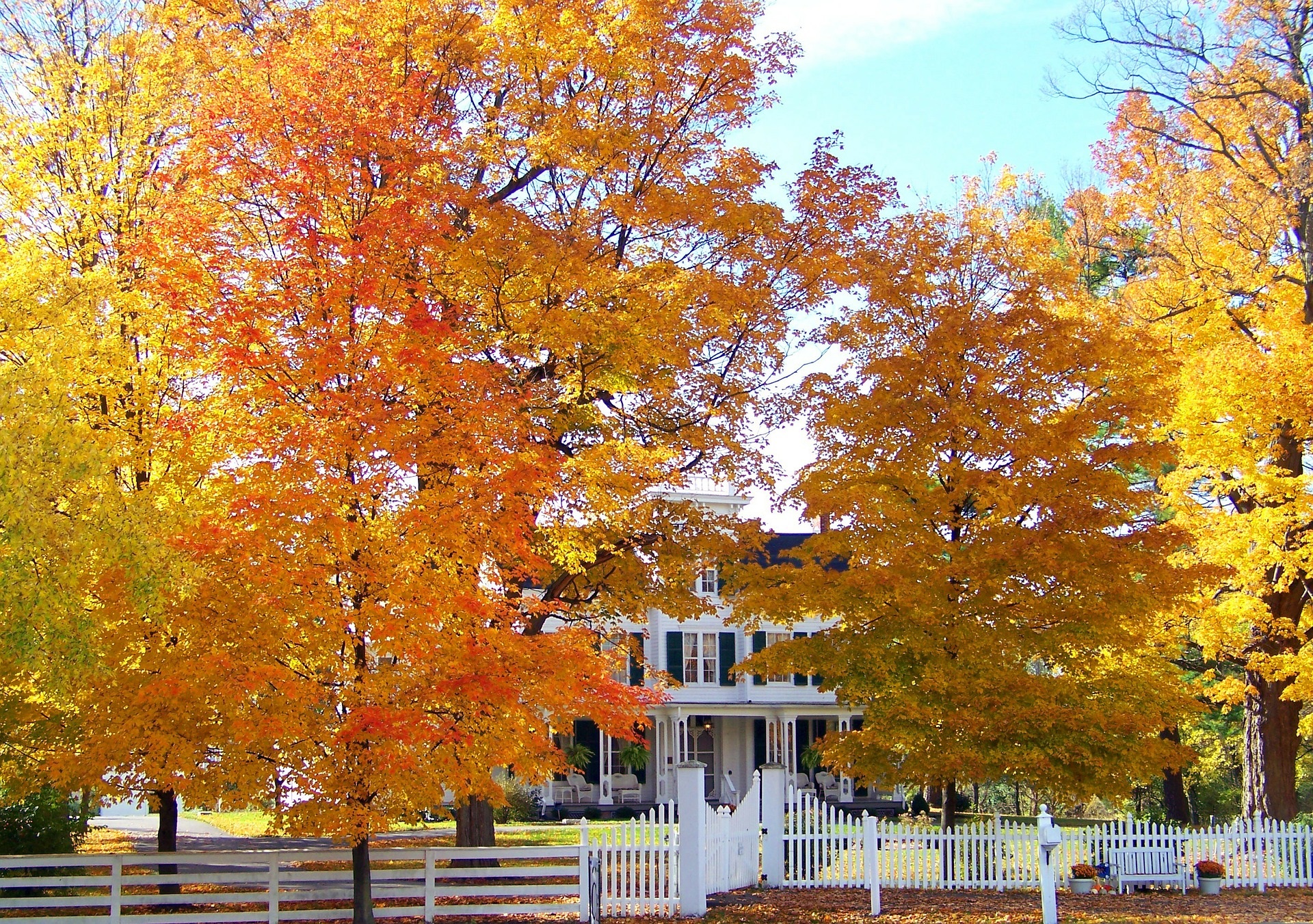 fall home buying