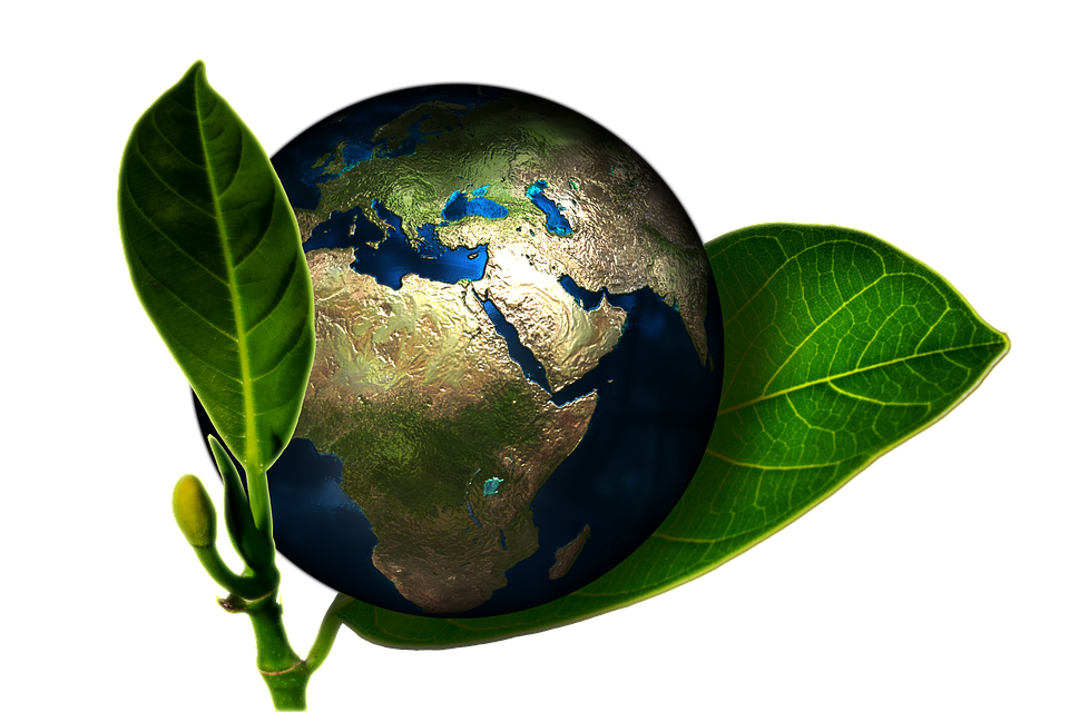 Reduce Energy Costs