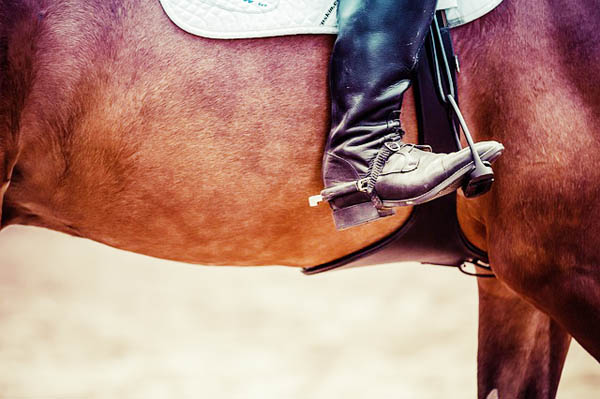 Horse Attractions in Boerne
