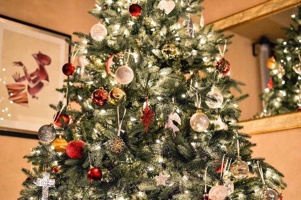 Austin Christmas Tree