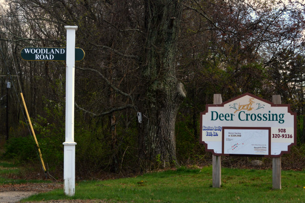 Deer Crossing Douglas