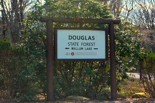 Douglas State Forrest