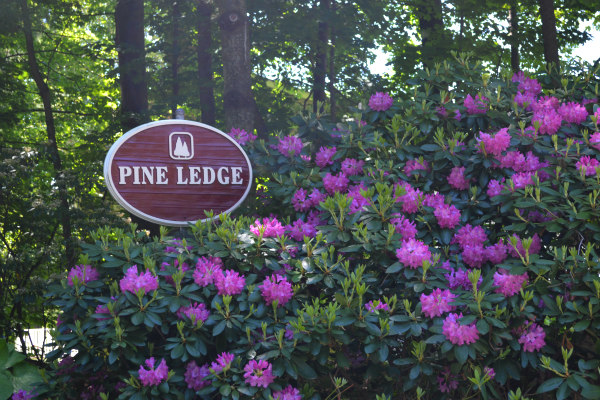 Pine Ledge Condos Auburn