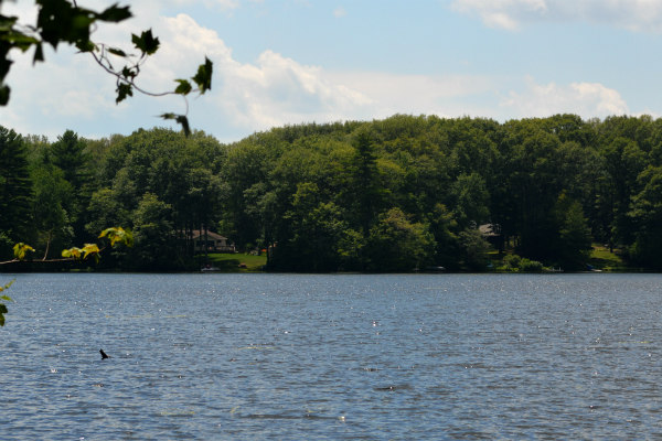 Prindle Lake Charlton