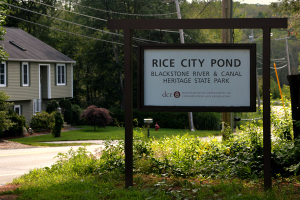 Rice City Pond Uxbridge