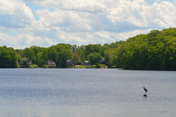 Mass Pond and Lake homes