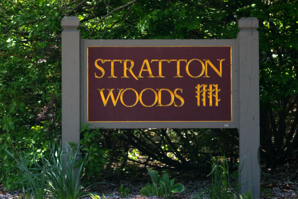 Stratton Woods Marlborough