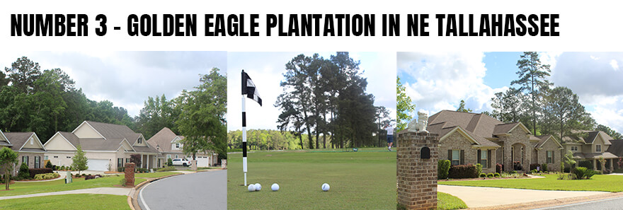 Golden Eagle Plantation Homes In NE Tallahassee