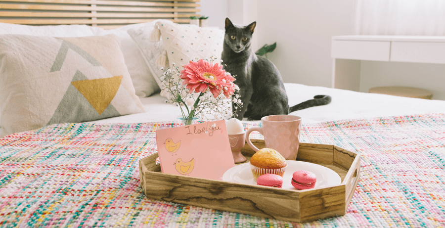 Pet-Friendly Gardening: Tips and Treats Cat Treats Image