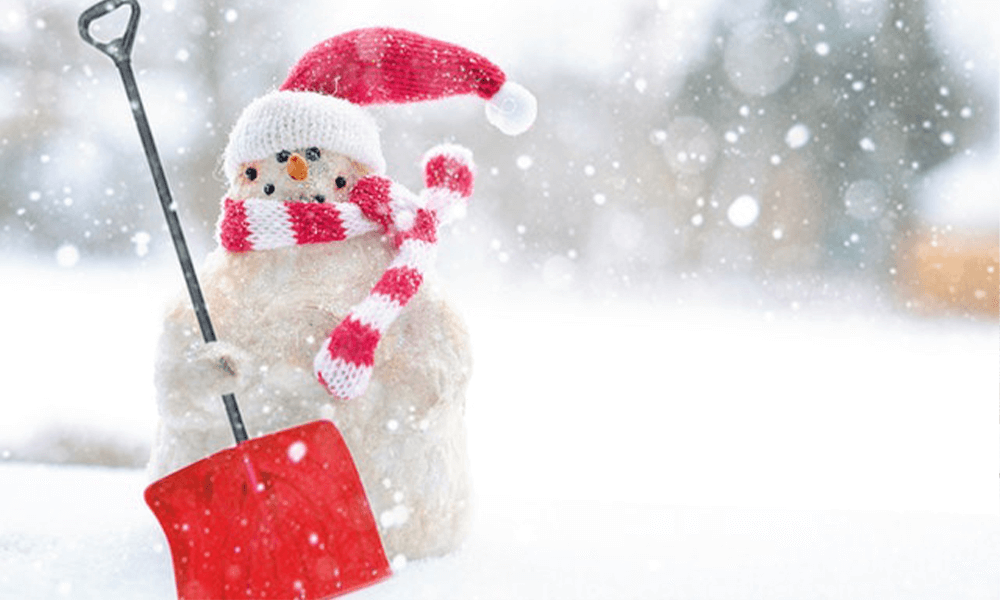 How to Create Curb Appeal in Winter Snowman Image
