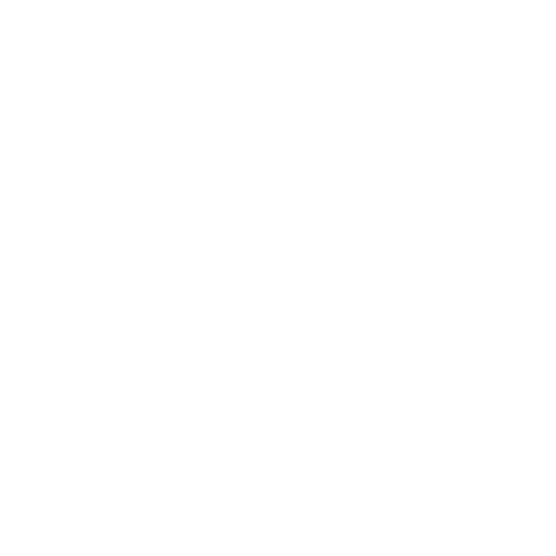 Tot Lot Icon