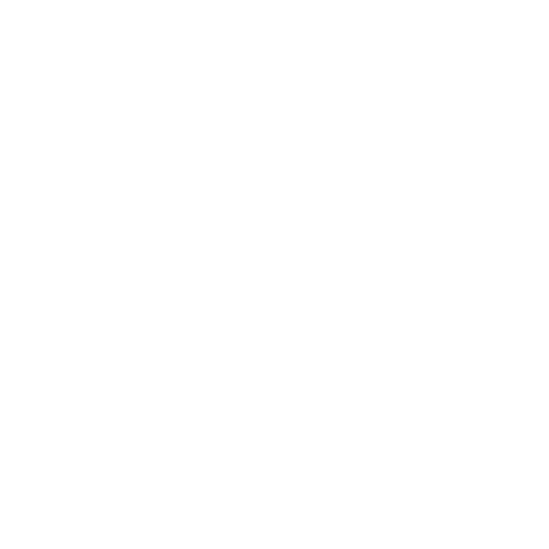 Half Basketball Court Icon