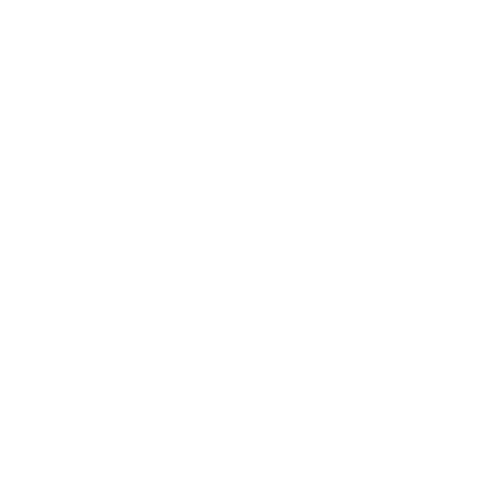 Basketball - Half Court Icon