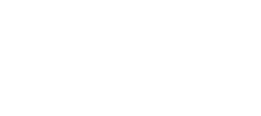 Vertical, clear logo for Arizona Network Realty