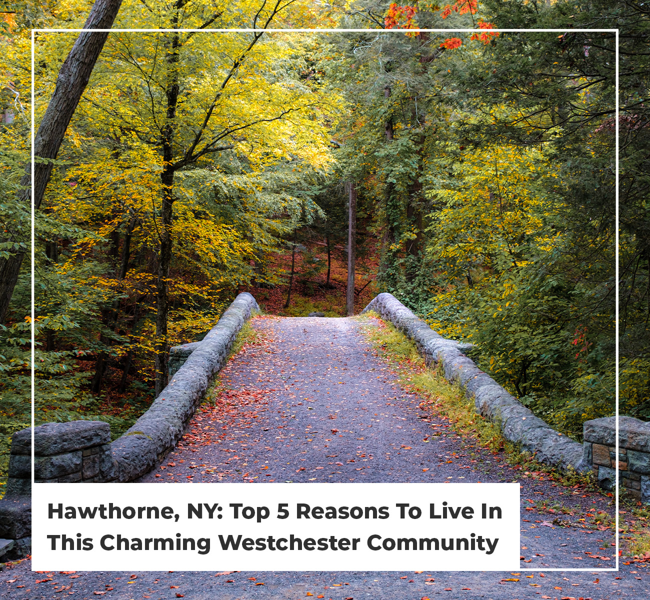 Hawthorne, Ny: Top 5 Reasons To Live In This Charming Westchester Community