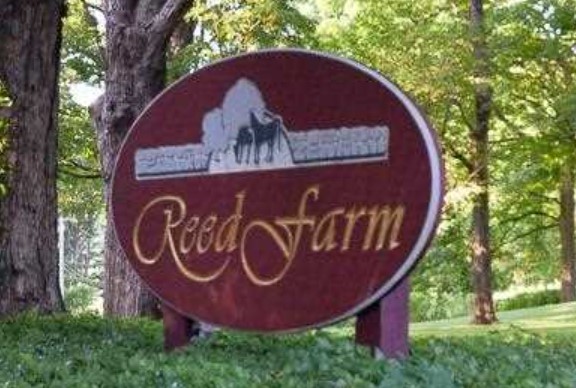 Reed Farm NY Condos for Sale