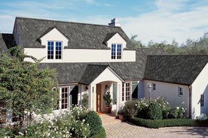 House with large roof