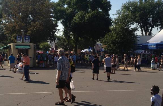 MN State Fair - Crowds