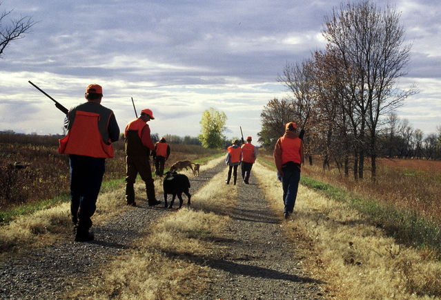 Minnesota Hunting Season