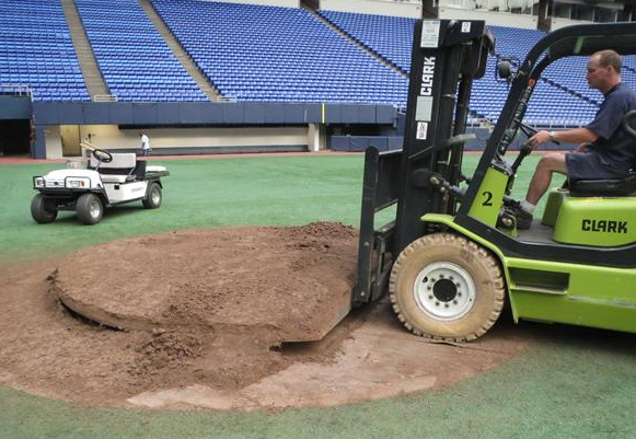 Twins Mound For Sale - Metrodome - Auction 